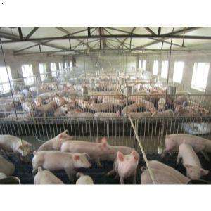 養殖場除臭方案