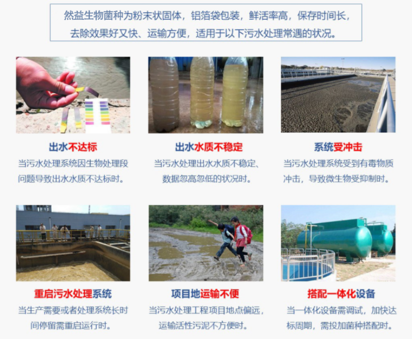 微生物環保菌種快速恢復啟動污水處理系統